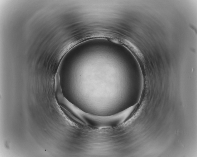 X0000094420993200711081133