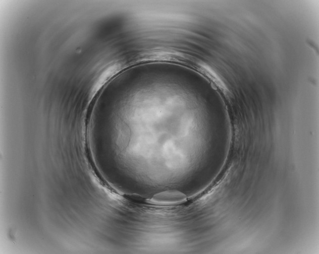 X0000094420994200711081133