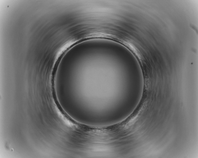 X0000094420995200711081133