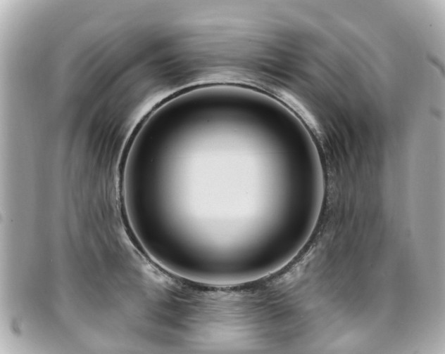 X0000094420996200711081133