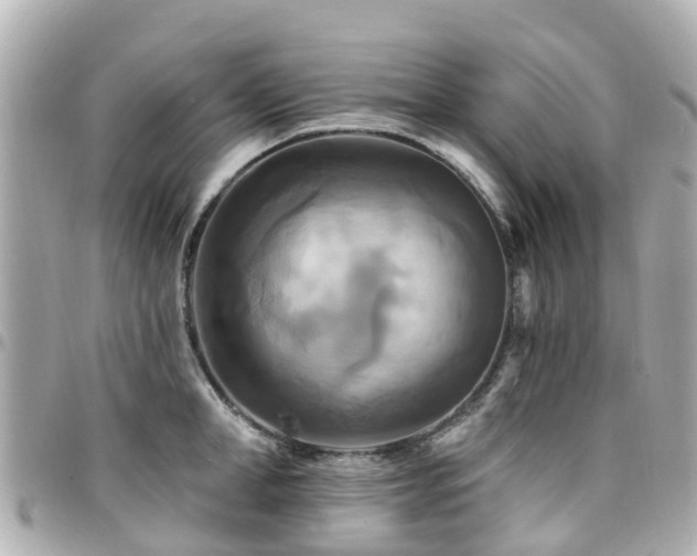X0000094420998200711081133