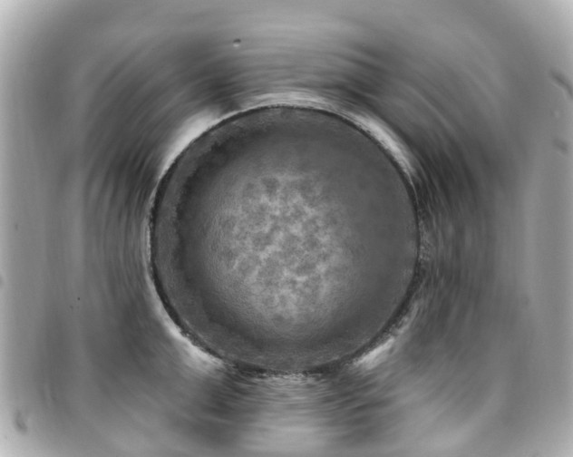 X0000094420999200711081133