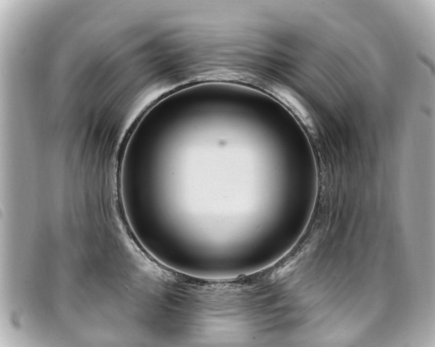 X0000094421000200711081133