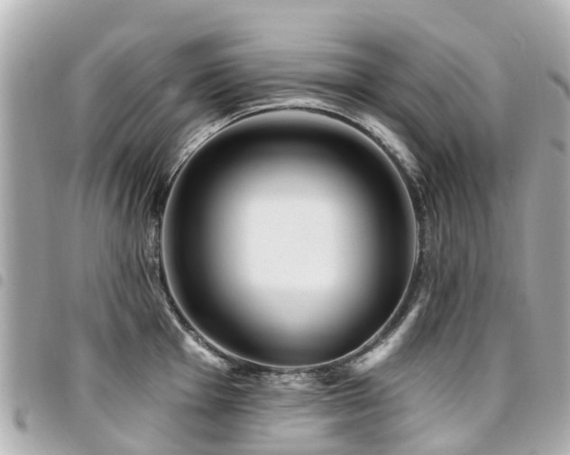 X0000094421001200711081133
