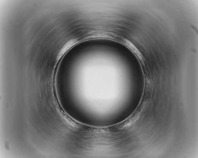 X0000094421002200711081133