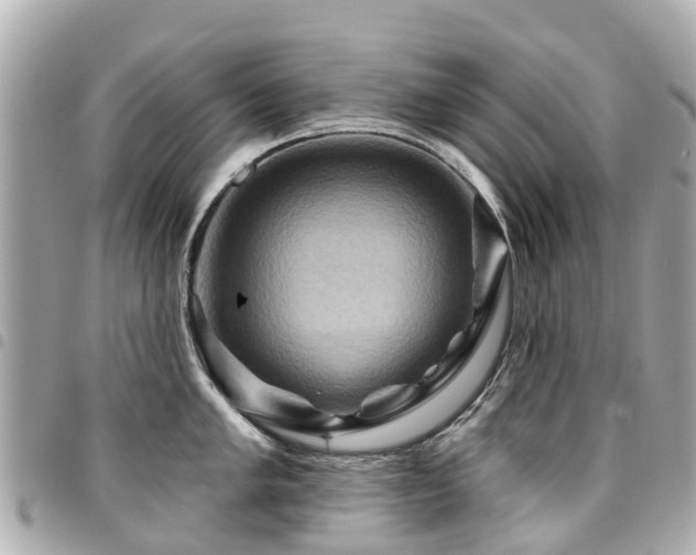 X0000094421005200711081133