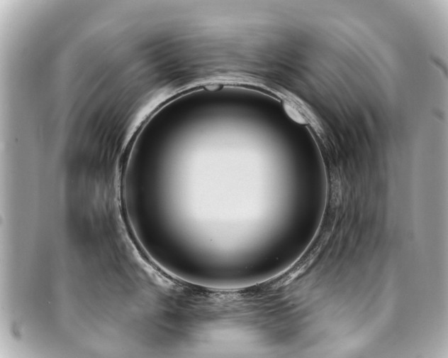 X0000094421006200711081133