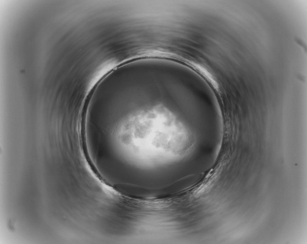 X0000094421007200711081133