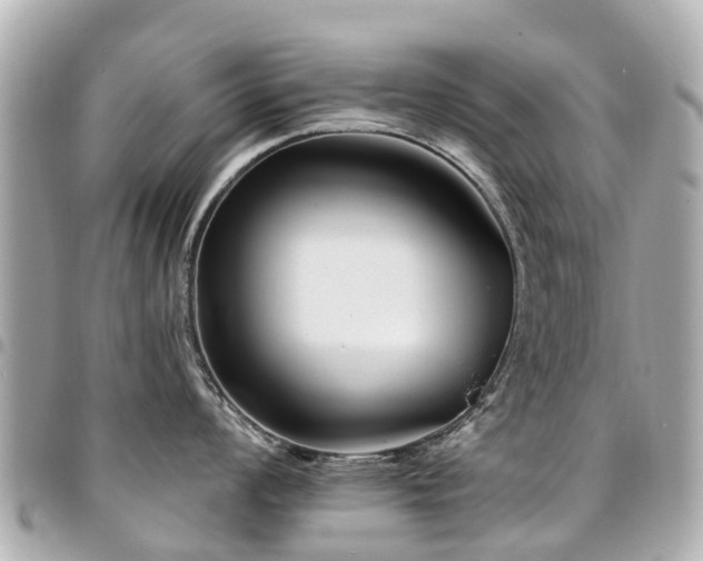 X0000094421008200711081133