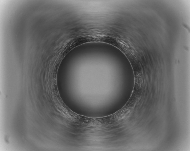 X0000094421009200711081132