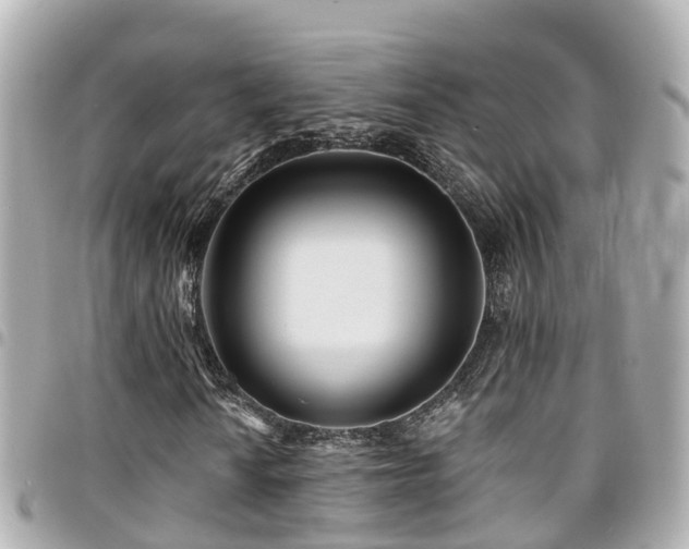 X0000094421010200711081132