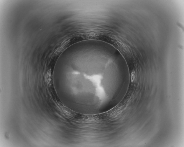 X0000094421011200711081132