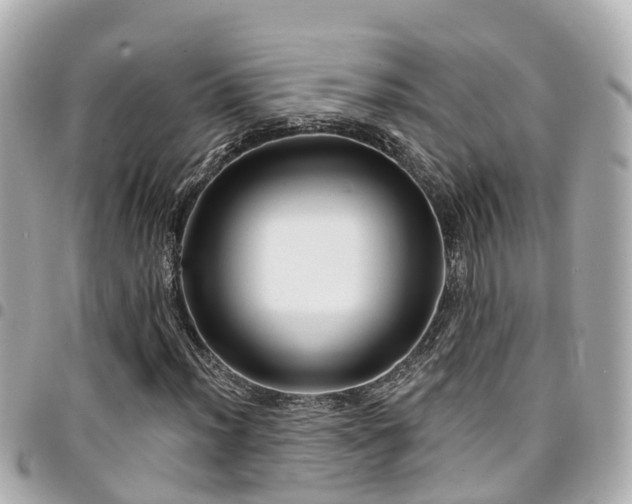 X0000094421012200711081132
