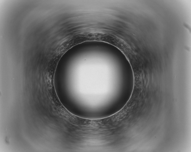 X0000094421013200711081132