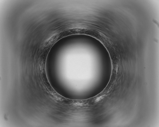 X0000094421014200711081132