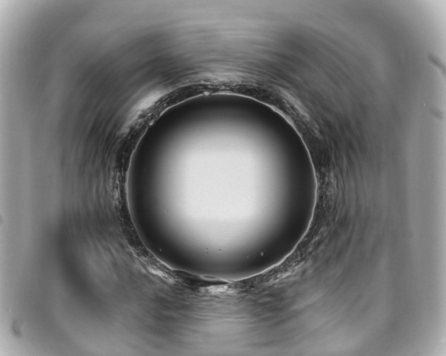X0000094421016200711081132