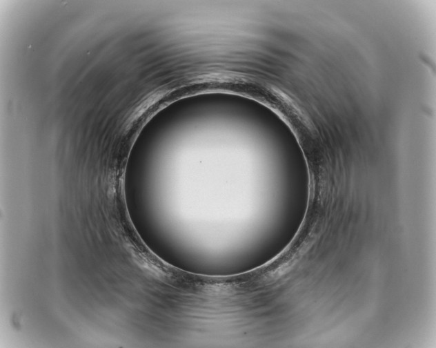 X0000094421017200711081132