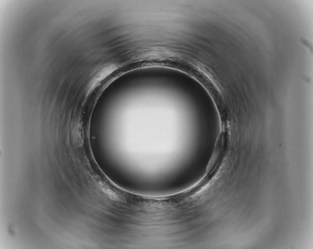 X0000094421018200711081132