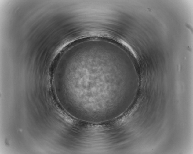 X0000094421019200711081132