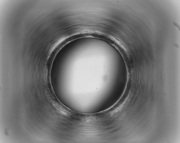 X0000094421021200711081132