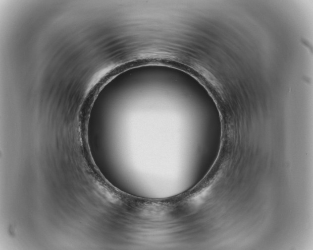 X0000094421022200711081132