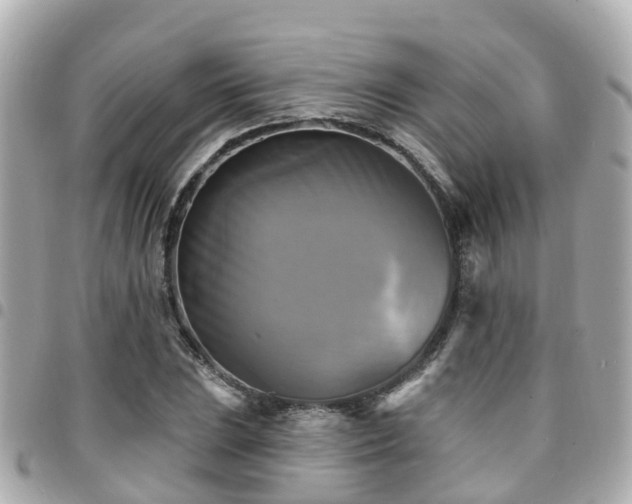 X0000094421023200711081132