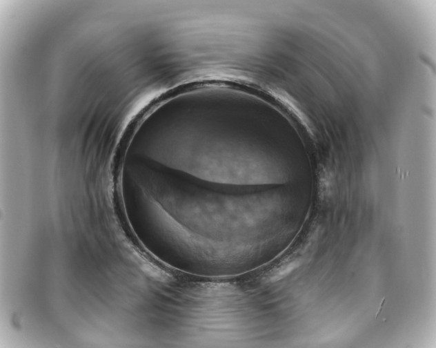 X0000094421024200711081132