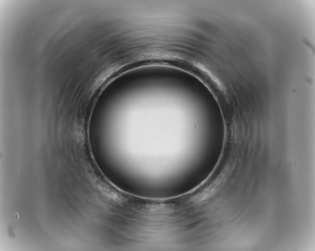 X0000094421025200711081132