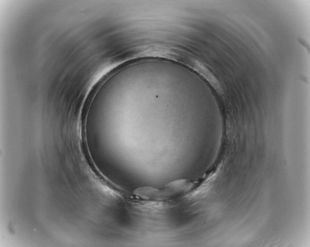 X0000094421028200711081132