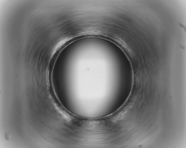 X0000094421030200711081133