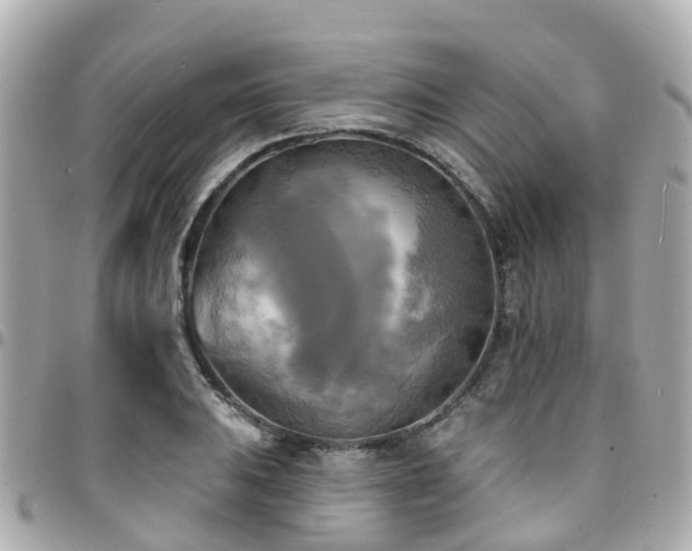 X0000094421031200711081133
