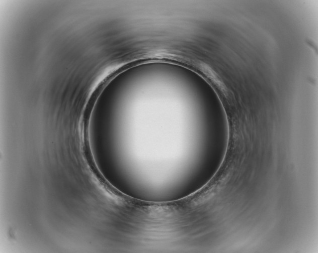 X0000094421032200711081133