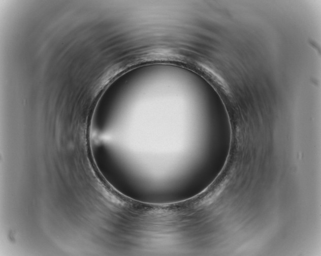 X0000094421033200711081133
