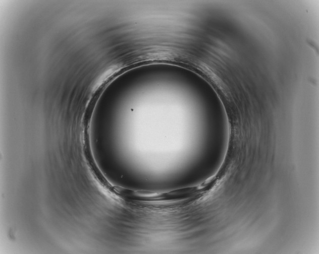 X0000094421034200711081133