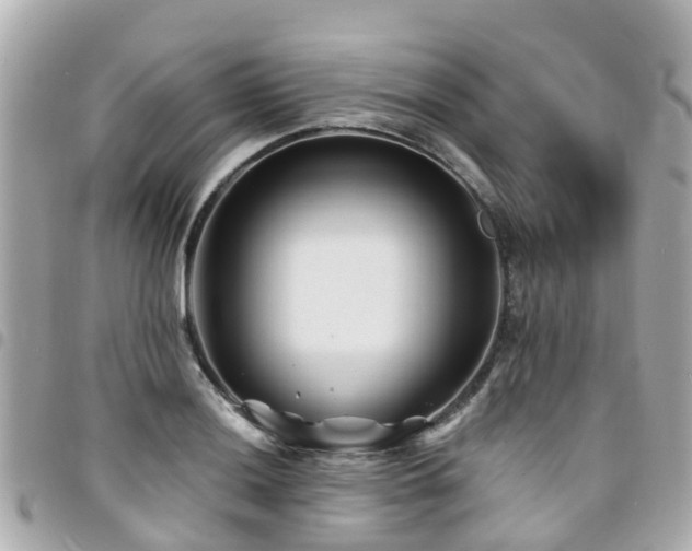 X0000094421036200711081133