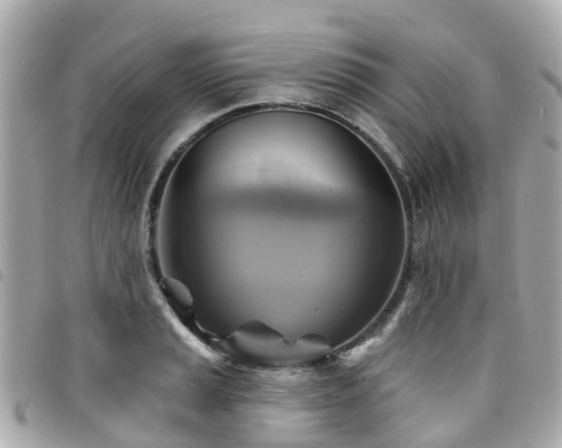 X0000094421037200711081133