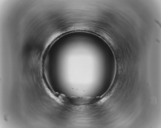 X0000094421038200711081133