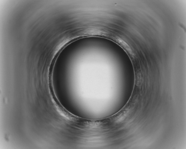 X0000094421039200711081133