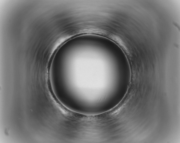 X0000094421040200711081133