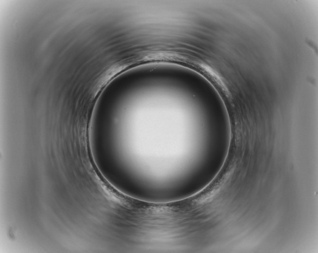X0000094421041200711081133