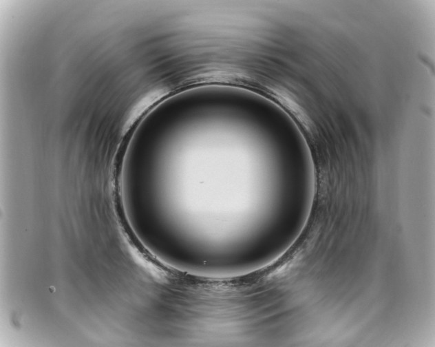 X0000094421042200711081133