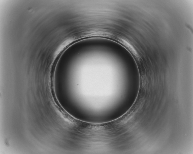 X0000094421043200711081133