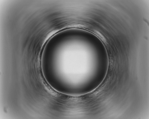 X0000094421044200711081133