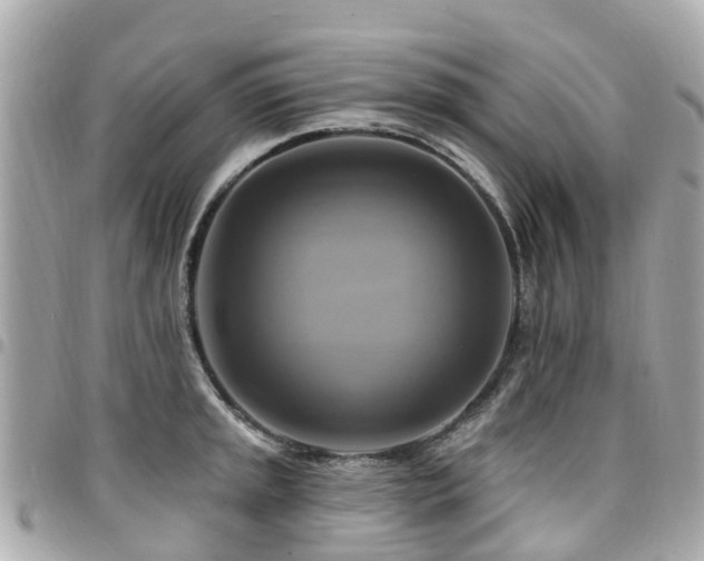 X0000094421045200711081133