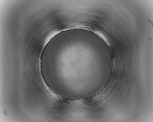 X0000094421047200711081133