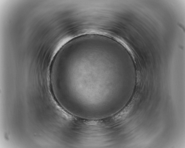 X0000094421048200711081133