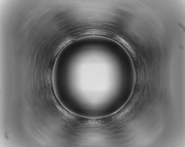 X0000094421049200711081133