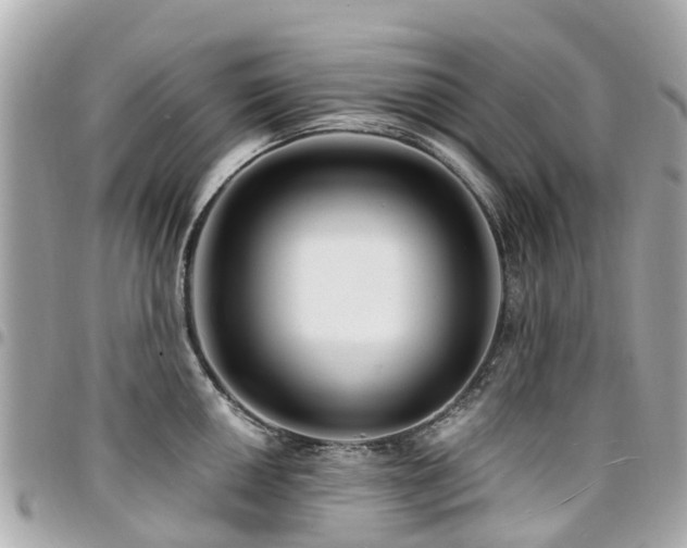 X0000094421050200711081133