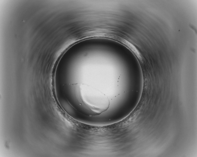X0000094421051200711081133