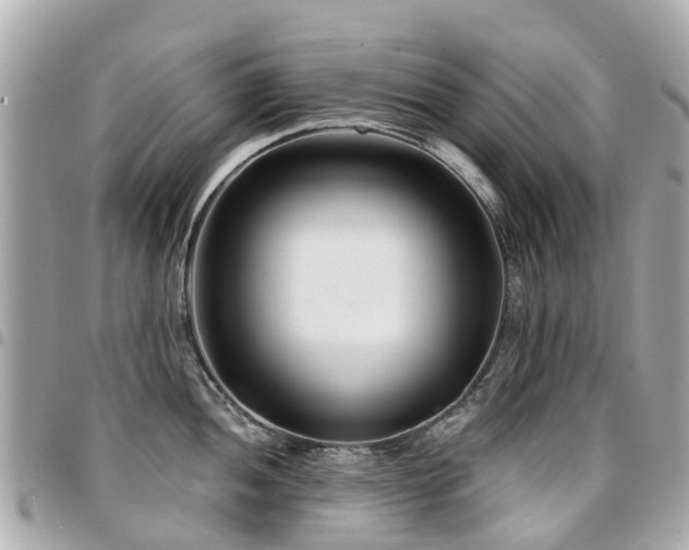 X0000094421052200711081133